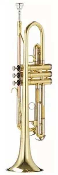 Parrot trumpet top