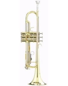 Parrot 6420 A