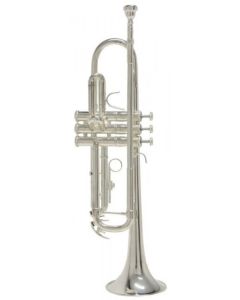 Trompeta BACH TROMPET BB TR650S 705992