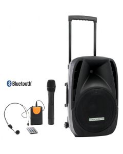 Pronomic PH15AW