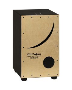 Roland EC-10