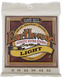 Ernie Ball 2004 Earthwood Bronze