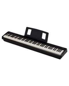 Roland FP-10