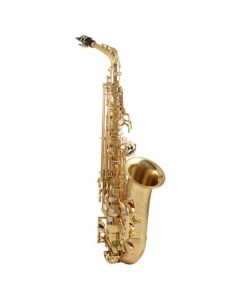 Yanagisawa A-WO1