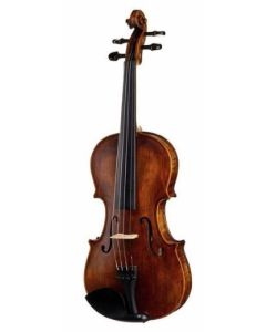 Stentor SR1864 Verona Violin 4/4