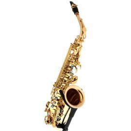 Saxofon Thomann TAS-580 GL Alto Sax