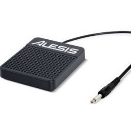Alesis ASP-1