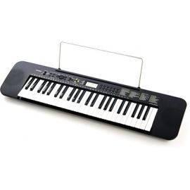 Orga Casio CTK-240