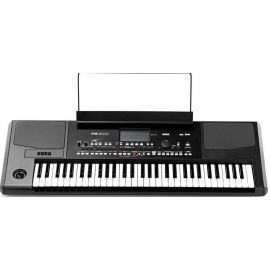 Korg PA300