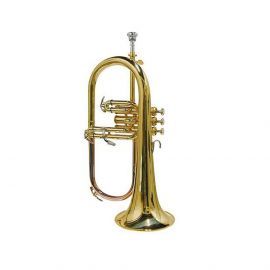 Parrot JBFH 1100L Fligorn