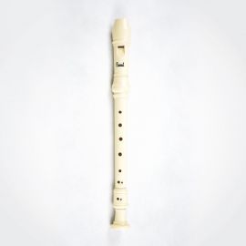 Parrot PR 02 Blockflute German