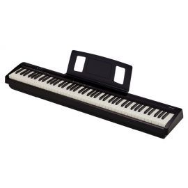 Roland FP-10