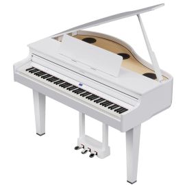 Roland GP 6 White