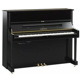 YAMAHA U1 TA3 PE (TransAcoustic)