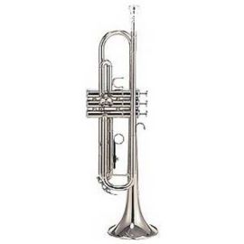 Trompeta PARROT 6416S
