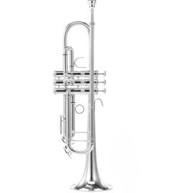 Труба Thomann TR 500 S Bb-Trumpet