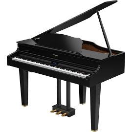 Roland GP 6 PE