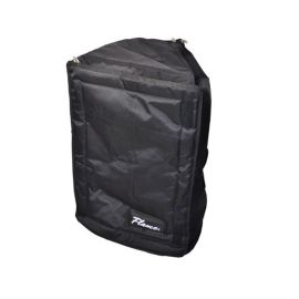 Flame Dynacord D-Lite 12.3