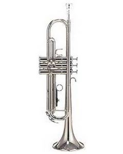 Trompeta PARROT 6416S