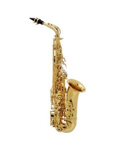 BUFFET CRAMPON S 100