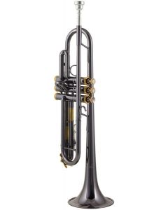 Trompeta Thomann TR-5000 BG Bb- Trumpet
