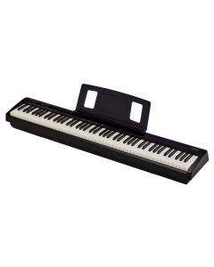 Roland FP-10
